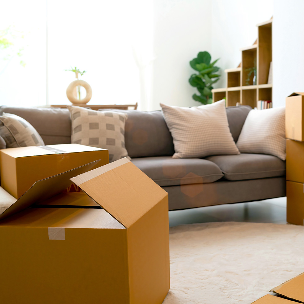 A modern sofa surrounded by moving boxes 